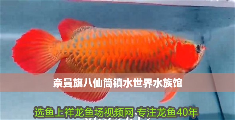 奈曼旗八仙筒鎮水世界水族館