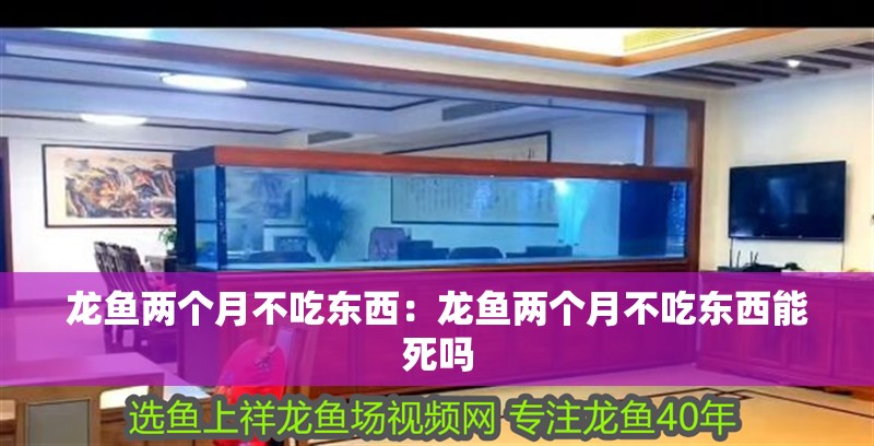 龍魚兩個月不吃東西：龍魚兩個月不吃東西能死嗎