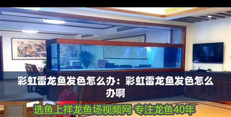 彩虹雷龍魚發色怎么辦：彩虹雷龍魚發色怎么辦啊