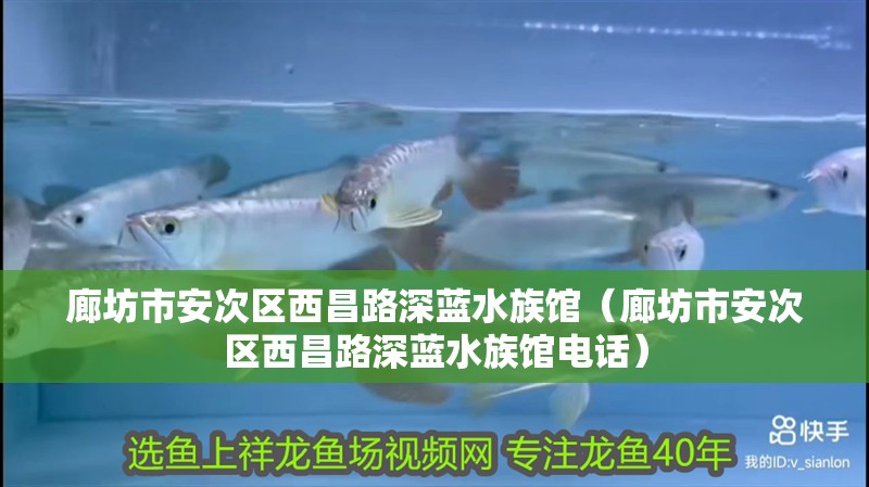 廊坊市安次區(qū)西昌路深藍水族館（廊坊市安次區(qū)西昌路深藍水族館電話）