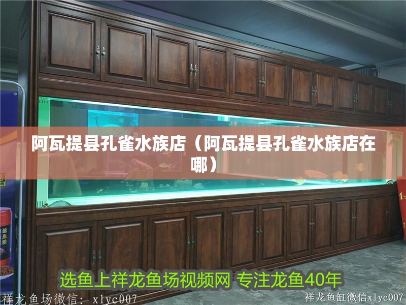 阿瓦提縣孔雀水族店(阿瓦提縣孔雀水族店在哪) 全國(guó)水族館企業(yè)名錄 第2張 阿瓦提縣孔雀水族店(阿瓦提縣孔雀水族店在哪) 阿瓦提縣孔雀水族店(阿瓦提縣孔雀水族店在哪) 全國(guó)水族館企業(yè)名錄 第2張