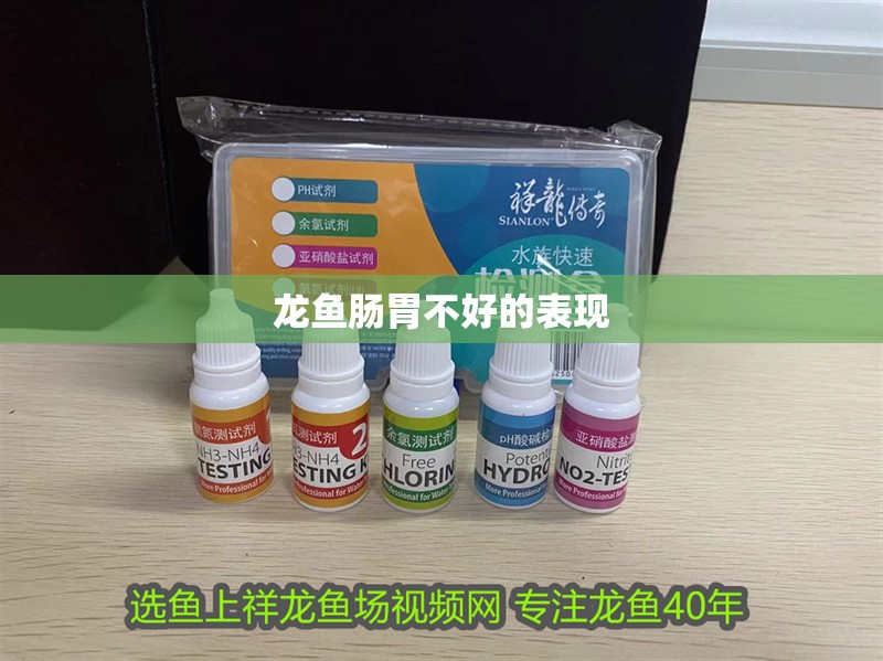 龍魚腸胃不好的表現