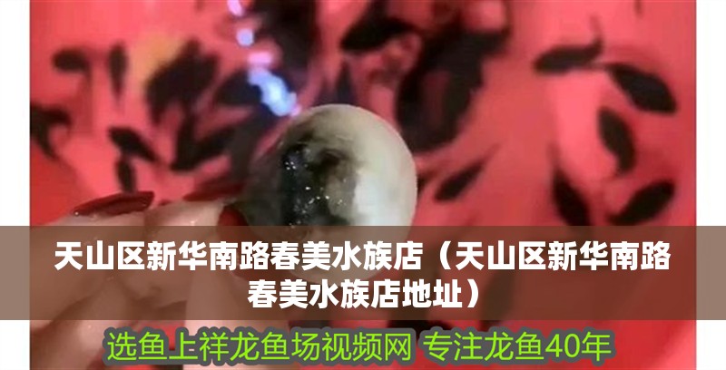 天山區(qū)新華南路春美水族店（天山區(qū)新華南路春美水族店地址）