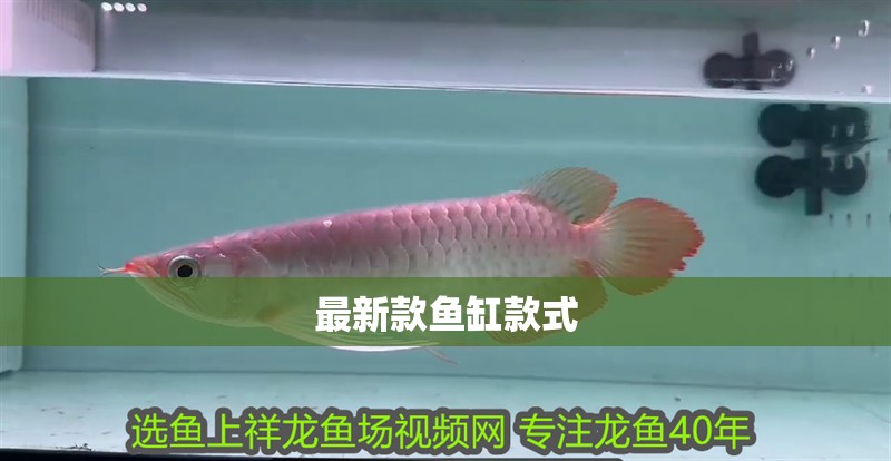 最新款魚缸款式