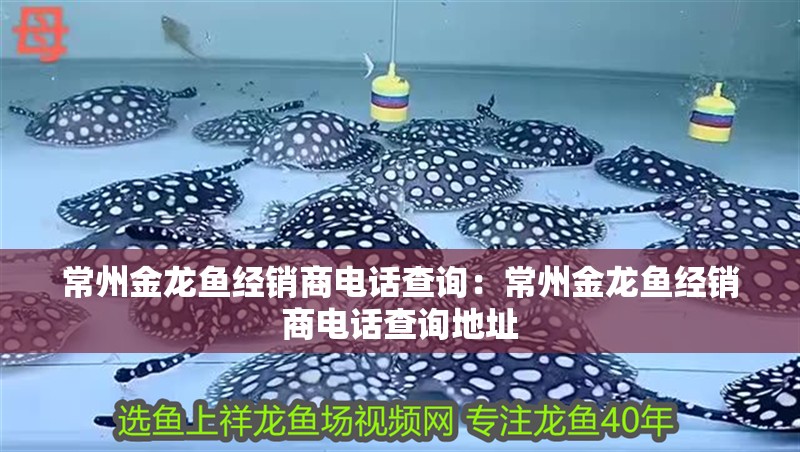 常州金龍魚經銷商電話查詢：常州金龍魚經銷商電話查詢地址
