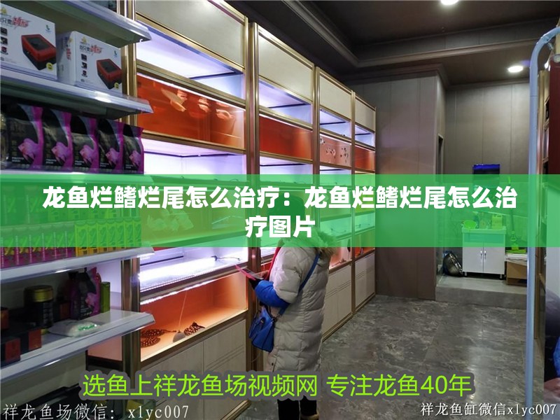 龍魚爛鰭爛尾怎么治療：龍魚爛鰭爛尾怎么治療圖片 龍魚爛鰭爛尾怎么治療：龍魚爛鰭爛尾怎么治療圖片 水族問答