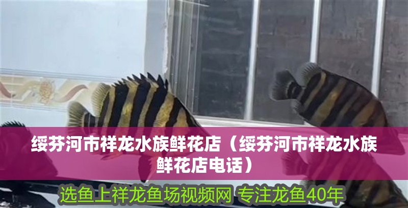 綏芬河市祥龍水族鮮花店（綏芬河市祥龍水族鮮花店電話）