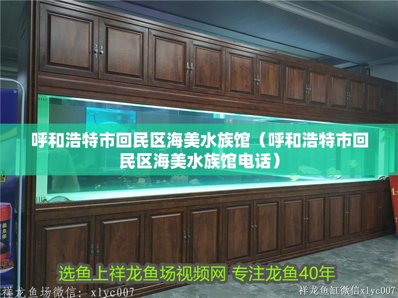 呼和浩特市回民區海美水族館（呼和浩特市回民區海美水族館電話）