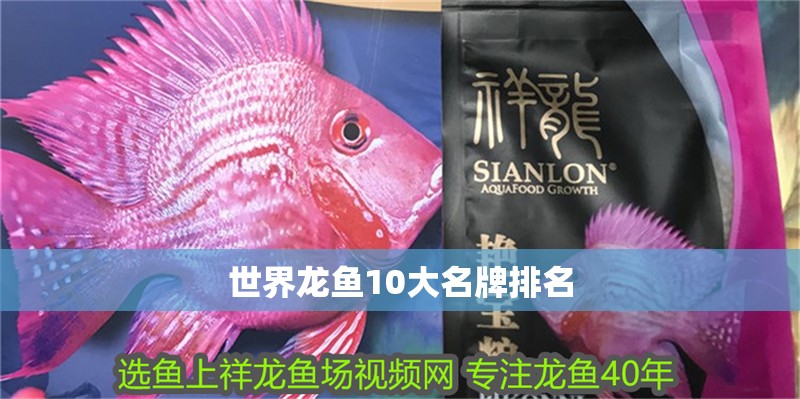 世界龍魚10大名牌排名 世界龍魚10大名牌排名 龍魚百科 第6張
