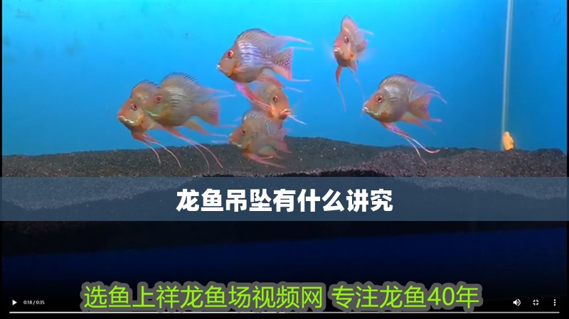 龍魚吊墜有什么講究