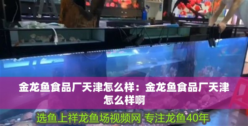 金龍魚食品廠<strong><mark>天津</mark></strong>怎么樣：金龍魚食品廠<strong><mark>天津</mark></strong>怎么樣啊