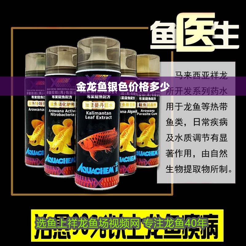 金龍魚銀色價格多少 龍魚百科 第2張 金龍魚銀色價格多少 金龍魚銀色價格多少 龍魚百科 第2張