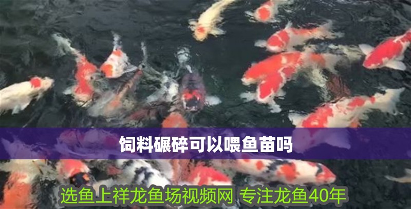 飼料碾碎可以喂魚苗嗎