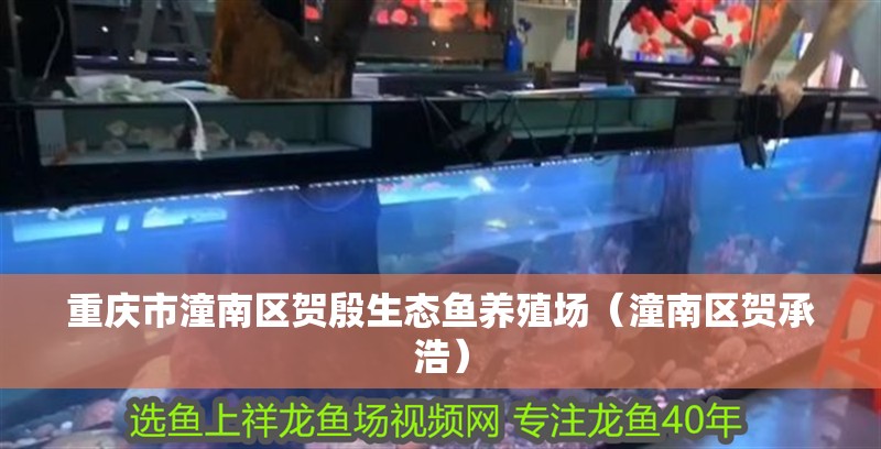 重慶市潼南區賀殷生態魚養殖場（潼南區賀承浩）