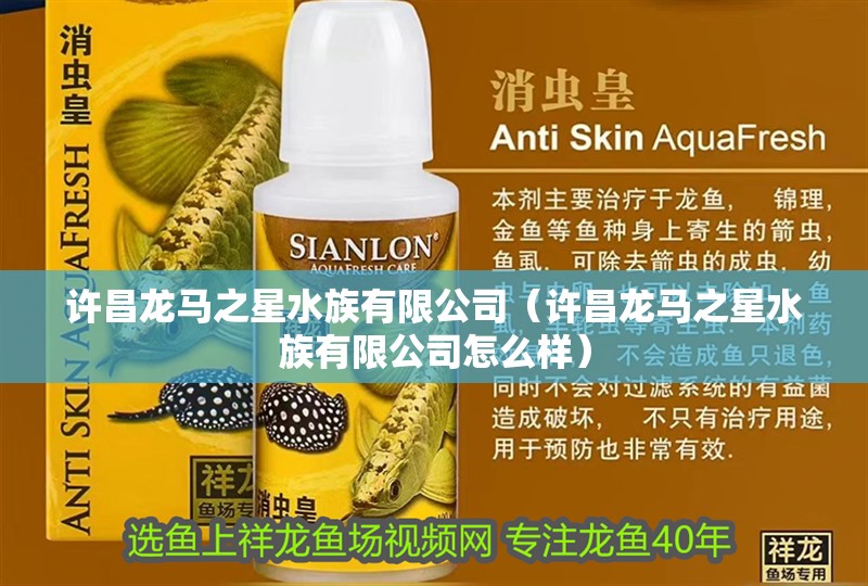 許昌龍馬之星水族有限公司（許昌龍馬之星水族有限公司怎么樣）