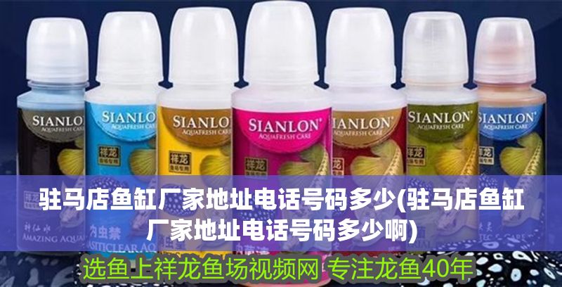 駐馬店魚缸廠家地址電話號碼多少(駐馬店魚缸廠家地址電話號碼多少啊)