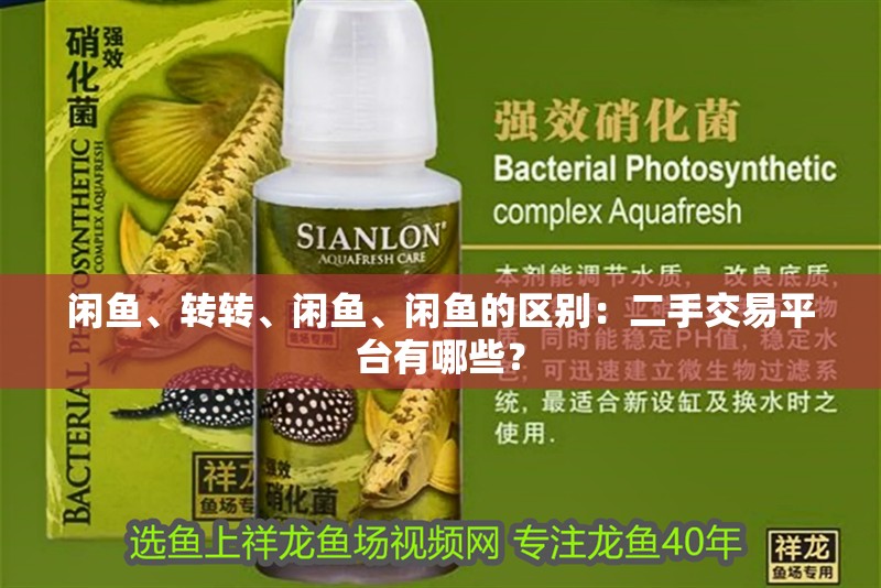 閑魚、轉(zhuǎn)轉(zhuǎn)、閑魚、閑魚的區(qū)別：二手交易平臺(tái)有哪些？ 閑魚、轉(zhuǎn)轉(zhuǎn)、閑魚、閑魚的區(qū)別：二手交易平臺(tái)有哪些？ 魚缸百科