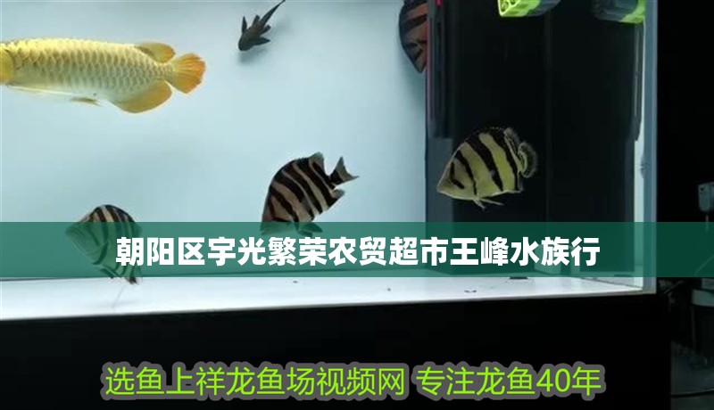 朝陽區(qū)宇光繁榮農(nóng)貿(mào)超市王峰水族行