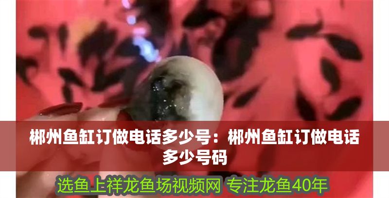 郴州魚缸訂做電話多少號(hào)：郴州魚缸訂做電話多少號(hào)碼