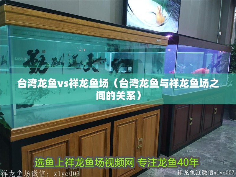臺(tái)灣龍魚(yú)vs祥龍魚(yú)場(chǎng)（臺(tái)灣龍魚(yú)與祥龍魚(yú)場(chǎng)之間的關(guān)系）