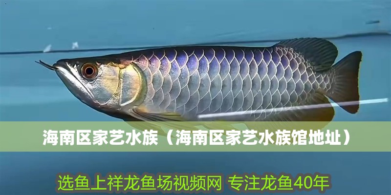 海南區家藝水族（海南區家藝水族館地址） 海南區家藝水族（海南區家藝水族館地址） 全國水族館企業名錄 第2張