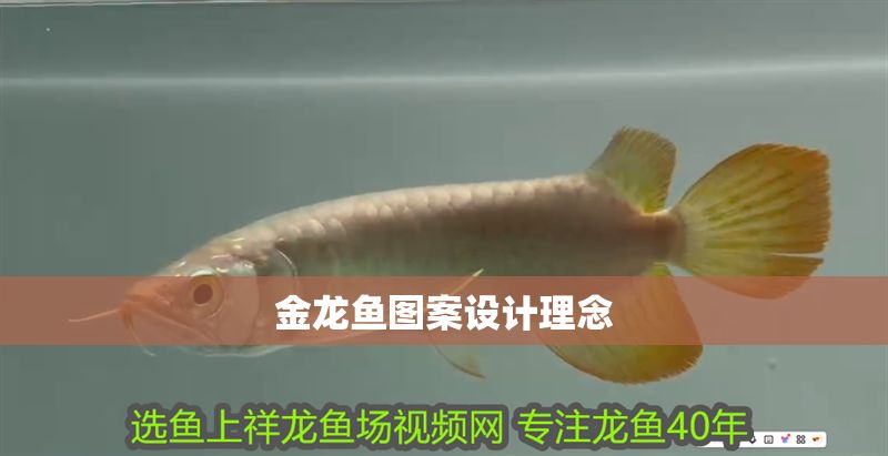 金龍魚圖案設計理念