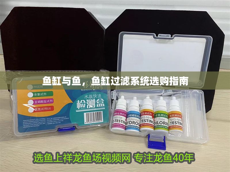 魚缸與魚，魚缸過濾系統選購指南