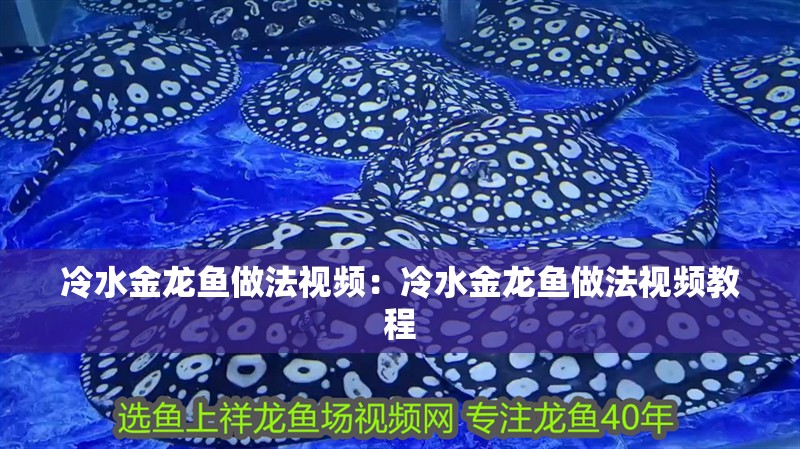 冷水金龍魚做法視頻：冷水金龍魚做法視頻教程