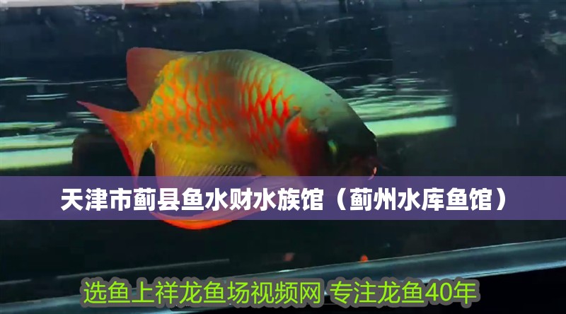 天津市薊縣魚水財水族館（薊州水庫魚館）