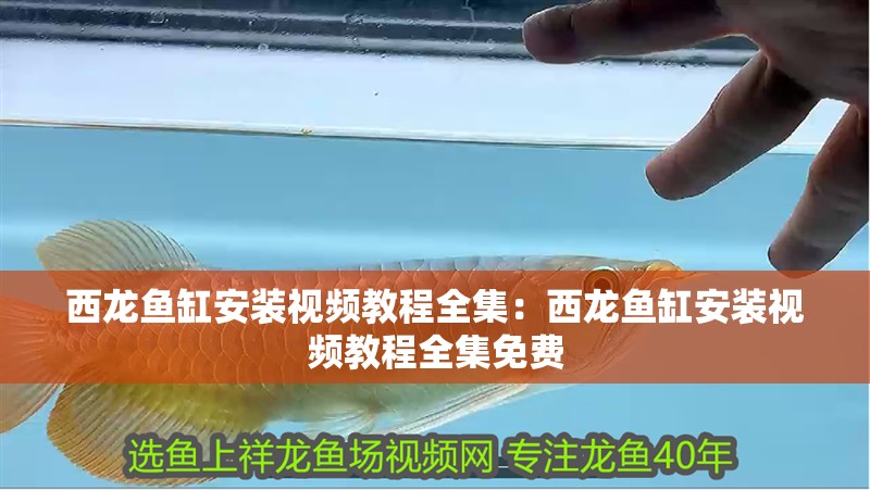 西龍魚缸安裝視頻教程全集:西龍魚缸安裝視頻教程全集免費 水族問答 西龍魚缸安裝視頻教程全集:西龍魚缸安裝視頻教程全集免費 西龍魚缸安裝視頻教程全集:西龍魚缸安裝視頻教程全集免費 水族問答