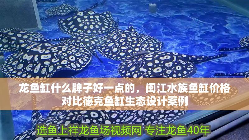 龍魚缸什么牌子好一點(diǎn)的，閩江水族魚缸價(jià)格對比德克魚缸生態(tài)設(shè)計(jì)案例