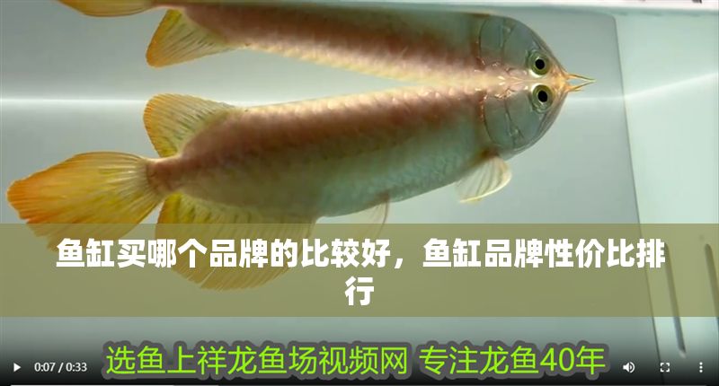 魚缸買哪個品牌的比較好，魚缸品牌性價比排行