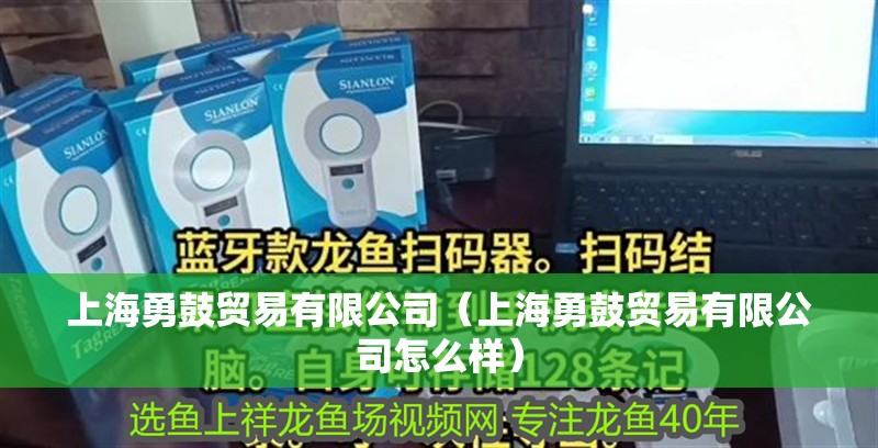 上海勇鼓貿易有限公司(上海勇鼓貿易有限公司怎么樣) 全國水族館企業名錄 第2張 上海勇鼓貿易有限公司(上海勇鼓貿易有限公司怎么樣) 上海勇鼓貿易有限公司(上海勇鼓貿易有限公司怎么樣) 全國水族館企業名錄 第2張
