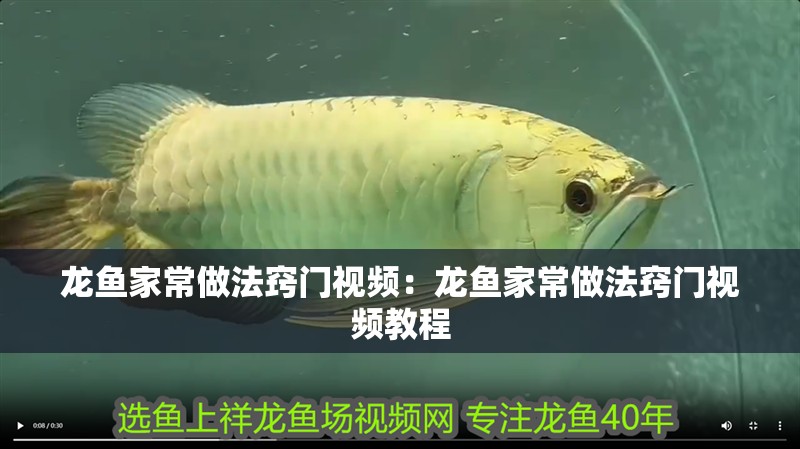 龍魚家常做法竅門視頻：龍魚家常做法竅門視頻教程