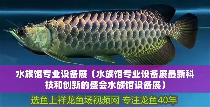 水族館專業設備展（水族館專業設備展最新科技和創新的盛會水族館設備展） 水族館專業設備展（水族館專業設備展最新科技和創新的盛會水族館設備展） 水族館百科（水族館加盟） 第1張