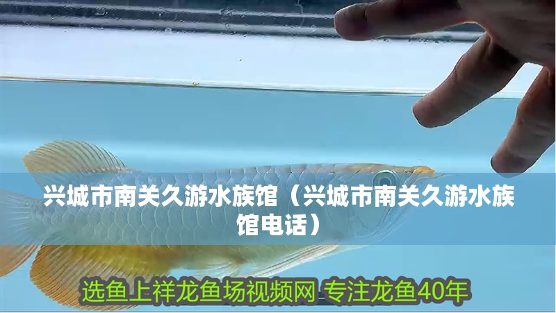 興城市南關久游水族館（興城市南關久游水族館電話）
