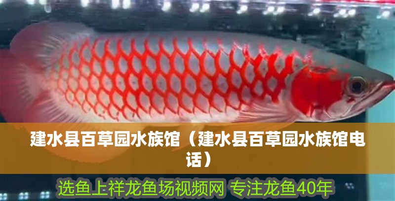 建水縣百草園水族館（建水縣百草園水族館電話） 建水縣百草園水族館（建水縣百草園水族館電話） 全國水族館企業名錄 第2張