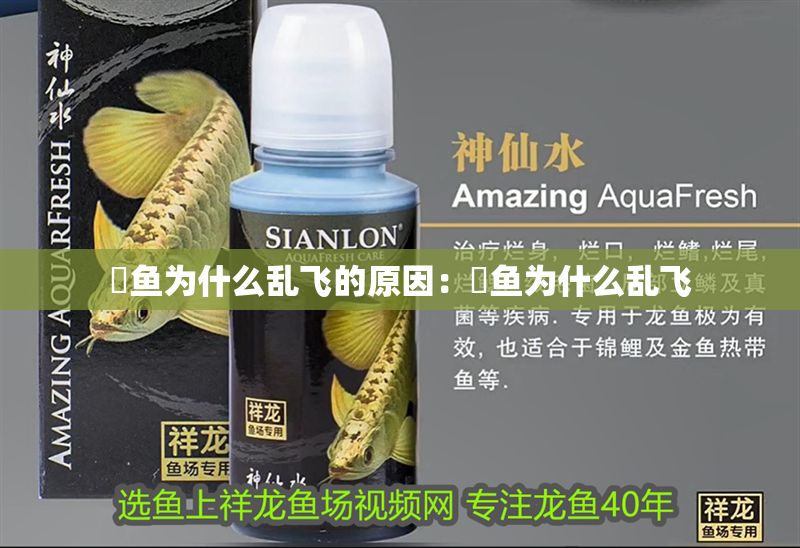 魟魚為什么亂飛的原因：魟魚為什么亂飛