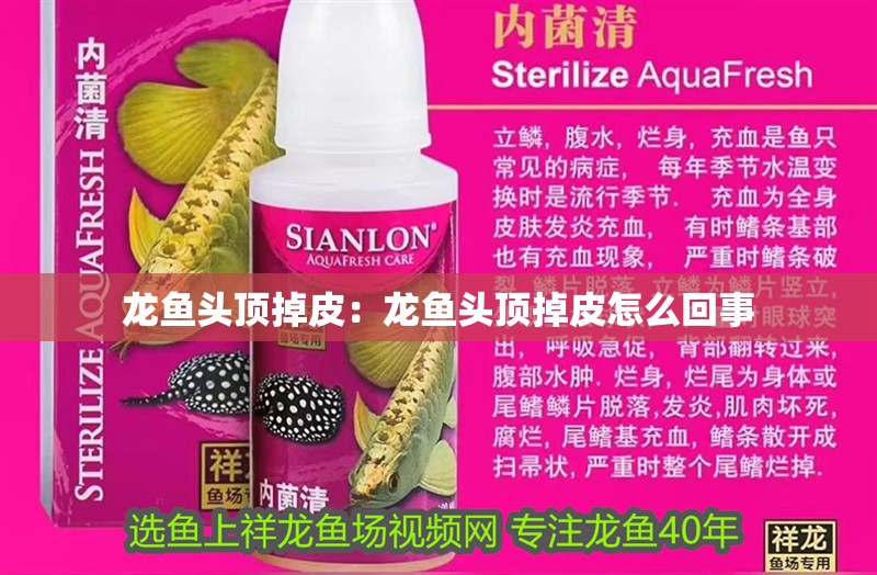 龍魚頭頂掉皮：龍魚頭頂掉皮怎么回事