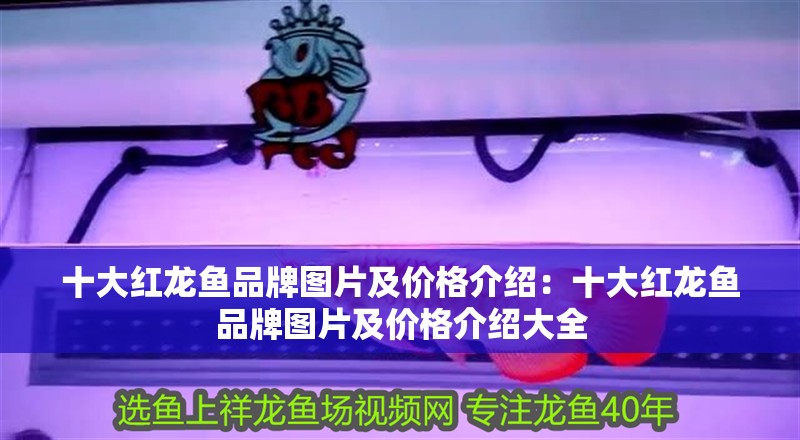 十大紅龍魚品牌圖片及價格介紹：十大紅龍魚品牌圖片及價格介紹大全