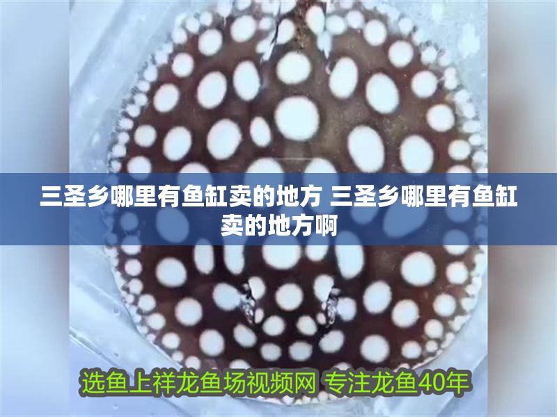 三圣鄉(xiāng)哪里有魚(yú)缸賣(mài)的地方 三圣鄉(xiāng)哪里有魚(yú)缸賣(mài)的地方啊