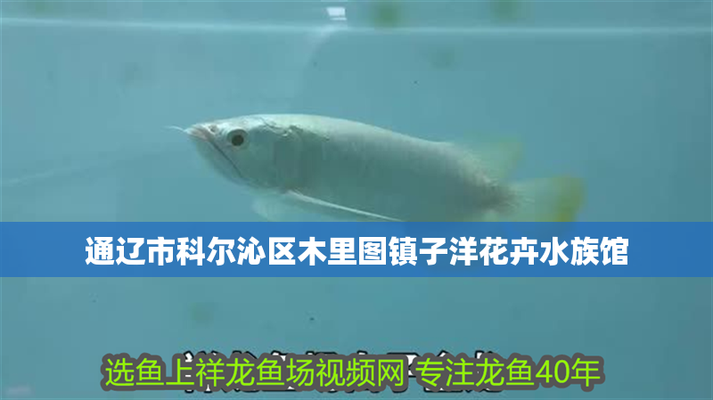 通遼市科爾沁區木里圖鎮子洋花卉水族館