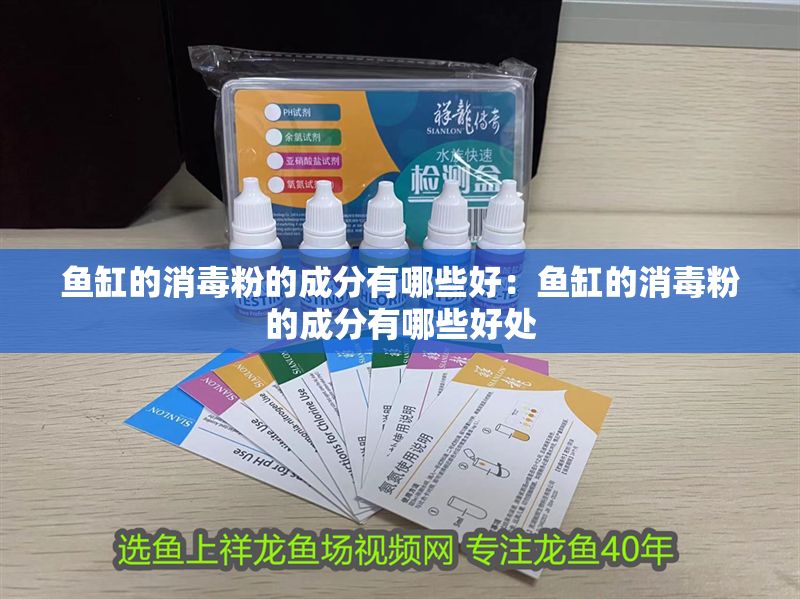 魚缸的消毒粉的成分有哪些好：魚缸的消毒粉的成分有哪些好處 魚缸的消毒粉的成分有哪些好：魚缸的消毒粉的成分有哪些好處 銀龍魚百科 第1張