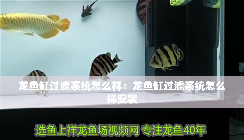 龍魚缸過濾系統(tǒng)怎么樣：龍魚缸過濾系統(tǒng)怎么樣安裝