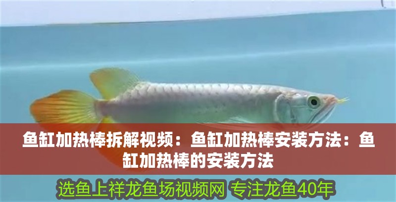 魚缸加熱棒拆解視頻：魚缸加熱棒安裝方法：魚缸加熱棒的安裝方法