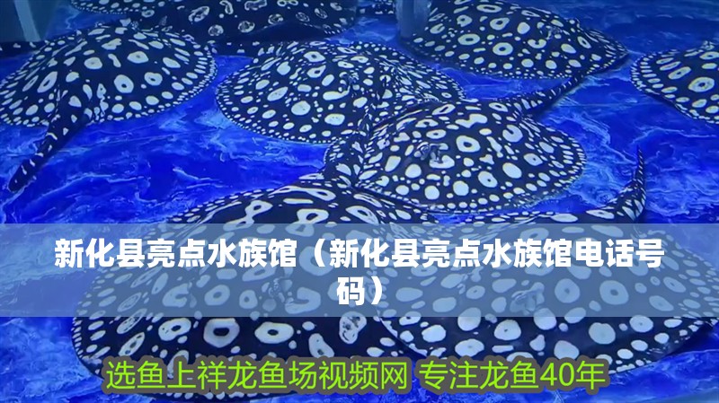 新化縣亮點水族館（新化縣亮點水族館電話號碼） 新化縣亮點水族館（新化縣亮點水族館電話號碼） 全國水族館企業名錄 第2張