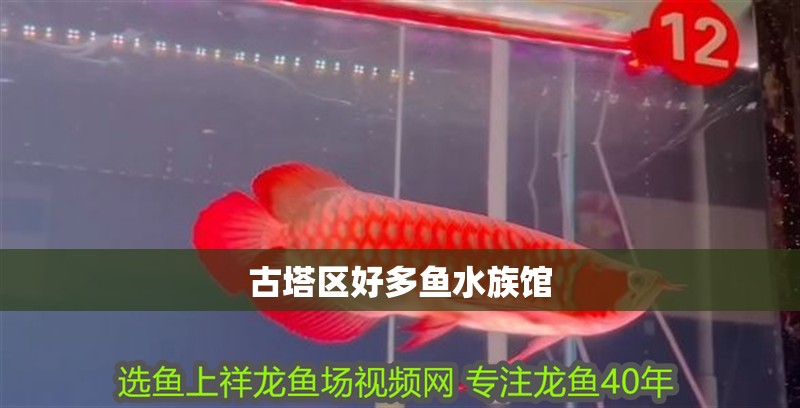 古塔區好多魚水族館