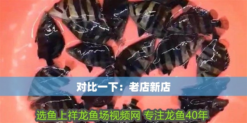 對比一下：老店新店