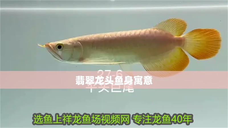 翡翠龍頭魚身寓意