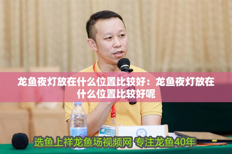 龍魚夜燈放在什么位置比較好：龍魚夜燈放在什么位置比較好呢 龍魚夜燈放在什么位置比較好：龍魚夜燈放在什么位置比較好呢 水族問答